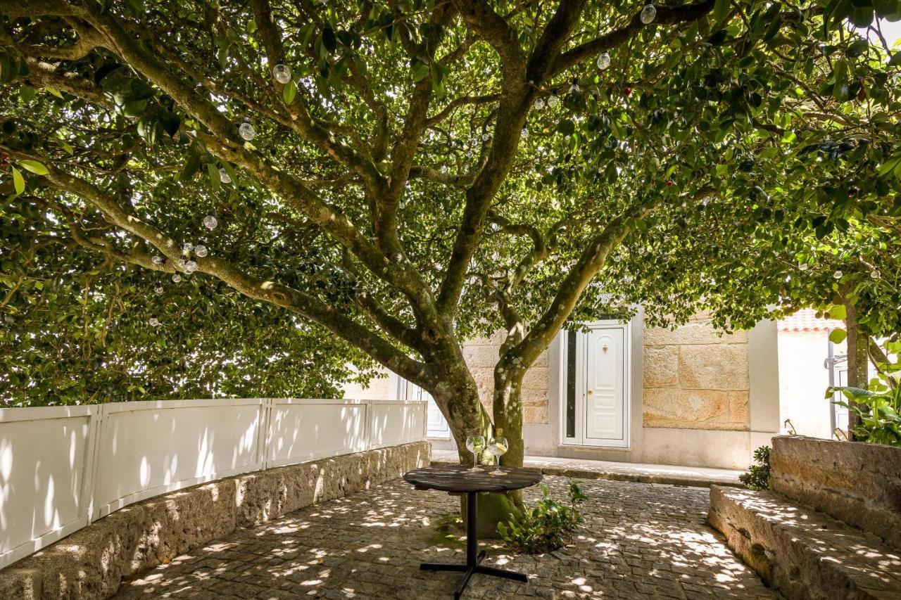 Casa De Ferreira Cinfaes Villa Kültér fotó